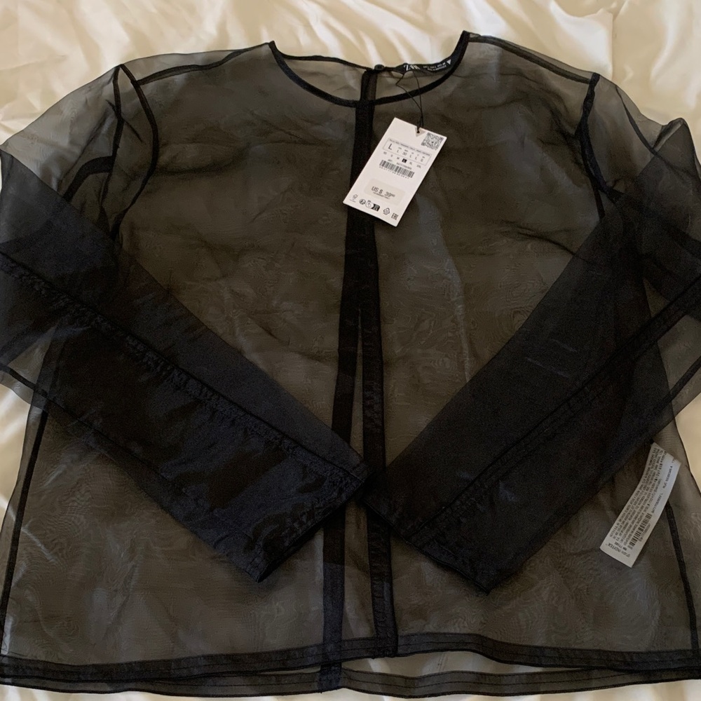 Zara Black Sheer Blouse